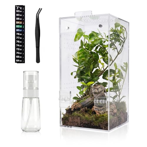 4"×4"×8" Ready-to-Use Acrylic Jumping Spider Enclosure No Assembly Needed | 360° Ventilation, Mini Reptile Terrarium for Jumping Spider, Mantis, Snail – Ideal for Desk, Living Room & Bedroom