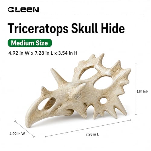 Triceratops Skull Reptile Hide for Bearded Dragons, Dinosaur Skull Terrarium Decor, Resin Cave Hideout for Lizards Snakes, Aquarium Tank Decoration (Medium) - size: Medium