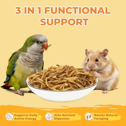 Zoody Dried Superworms Hamster Treats for Parakeets, Chickens 3.5 OZ | Natural High Protein Parakeet Treats, Hamster Snacks, Hedgehogs, Sugar Gliders, Reptiles & Small Animals, Crunchy & Tasty.