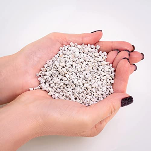 Premium Organic Perlite - (Made in Ukraine) Horticultural Soil Amendment for Indoor & Outdoor Container Plants for Drainage Management and Enhanced Growth - 2 Quart - color: PERLITE, size: 2 Quart