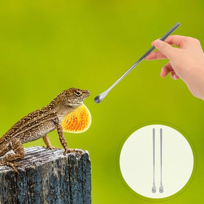 POPETPOP Sturdy Stainless Steel Feeding Spoon Small Pet Food Scoops for Gecko Lizard - color: As Shown