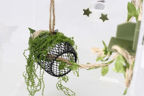 5Pcs Jumping Spider Enclosure Accessories with Hammock, Magnetic Climbing Rope, Resting Ledge Platforms and Feeding Dish Bowl & Hook for Terrarium Habitat (5Pcs Combination Kit) - color: 5Pcs Combination Kit