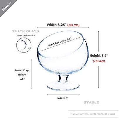 WGV Slant Cut Bowl Glass Vase with Stand, Width 8.25", Height 8.75", Clear Planter Terrarium, Candy Dish, Fruit Jar for Wedding Party Event, Home Office Decor, 1 Piece - size: Pedestal 8.5"H