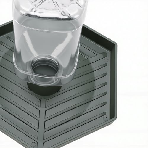 GLOGLOW Food and Water Bowl for Lizard Chameleon (Dark Green) - color: Dark Green