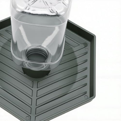 GLOGLOW Food and Water Bowl for Lizard Chameleon (Dark Green) - color: Dark Green