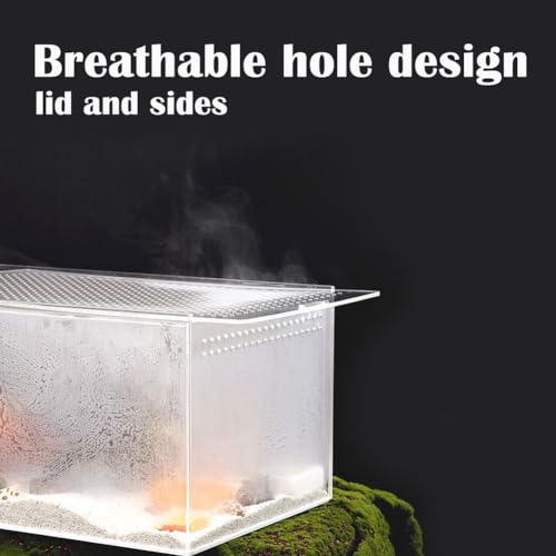 Small Acrylic Tarantula Enclosure Terrarium with Magnetic Button,8 * 4 * 4inch Thicken Isopod Enclosure,Spider Cage,Terrarium for Reptiles,Lizard,Juvenile Tarantulas - size: 8*4*4in