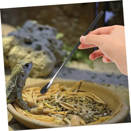 3pcs Small Reptile Feeding Spoon Lizard Food Scoop Multi-Functional Pet Spoon for Animals