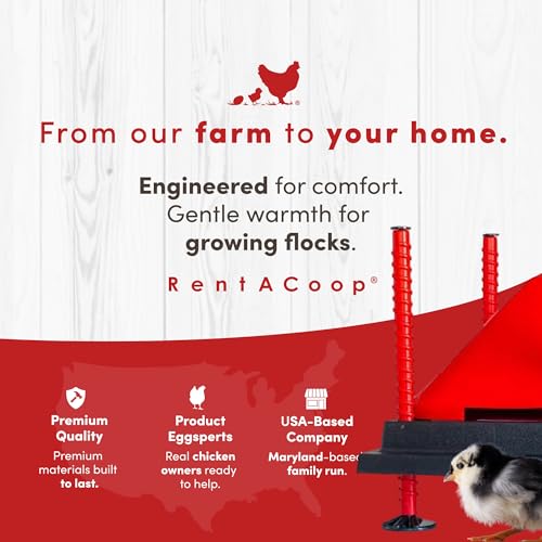 RentACoop 10x10” Heating Plate with Hard Anti-Roost Cone Set