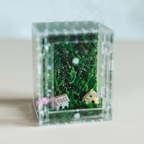 Acrylic Jumping Spider Enclosure -Clear Reptile Habitat Box for Tarantula, Mantis, Insects, Snail, Frog, Caterpillar – Ventilated Mini Terrarium Display Case with Lock Lid & Feeding Port