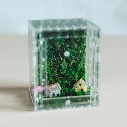 Acrylic Jumping Spider Enclosure -Clear Reptile Habitat Box for Tarantula, Mantis, Insects, Snail, Frog, Caterpillar – Ventilated Mini Terrarium Display Case with Lock Lid & Feeding Port