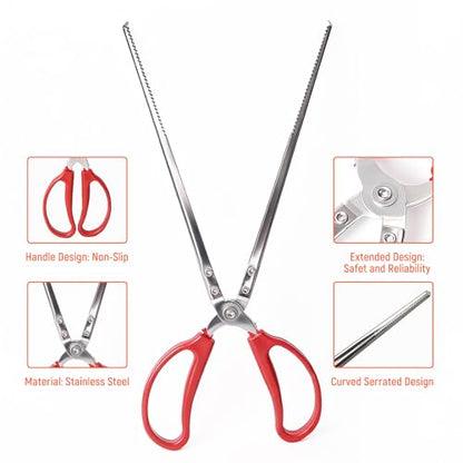 Feeding Tongs, Reptile Feeding Tongs for Snakes, Lizard, 3PCS Stainless Steel Tweezers with Gloves & Black Rubber Tips