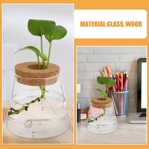 3pcs Glass Hydroponic Plant Vases with Wood Lid Plant Propagation Terrariums for Desk and Home Decor Stylish Desktop Containers Showcasing Root Growth for Flowers