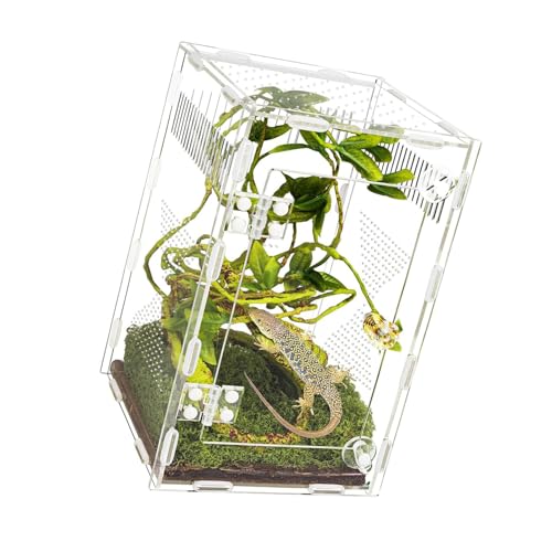 Clear Designs Reptiles Enclosure with Secure Locking Lid and Airflows Vents for Amphibians Easy Observation Terrariums Acrylic Reptiles Terrariums
