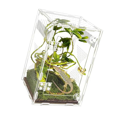Clear Designs Reptiles Enclosure with Secure Locking Lid and Airflows Vents for Amphibians Easy Observation Terrariums Acrylic Reptiles Terrariums