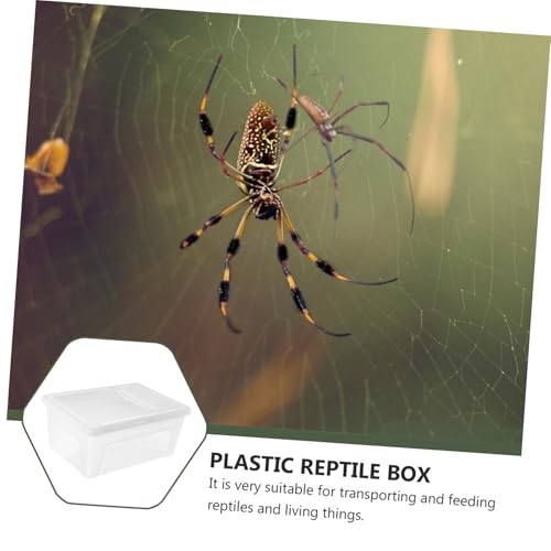 UPKOCH 1pc Transparent Plastic Reptile Box for Spider Scorpion Gecko Snake Tortoise Case with Ventilation for Transport and Feeding of Pets White