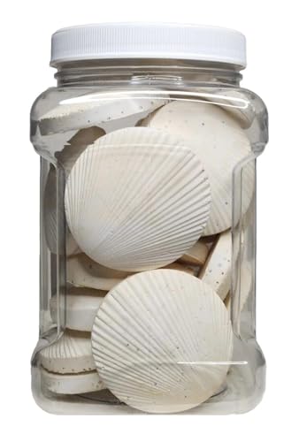 Calcium Feeders Large Disks 15ct Medium Jar - size: 15 Count (Pack of 1)