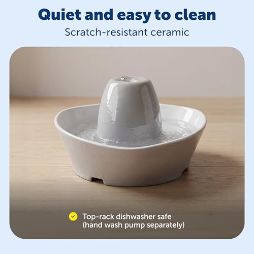 PetSafe Creekside Ceramic Pet Fountain, 60 Oz, Extra Filters | 60 Oz Capacity, Whisper-Quiet Flow, Includes 12 Extra Carbon & 2 Extra Foam Filters, Dishwasher Safe, Cats & Small Dogs - style: Fountain + 12 Carbon Filters + 2 Foam Filters