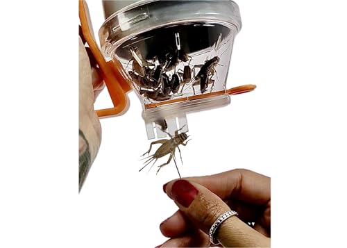 Patented All-In-One Live Bait Fishing Tool, Hands-Free Bait Chamber for Minnows/Worms/Crickets, Bait & Tackle Storage, Clear Lid, Ergonomic Handle