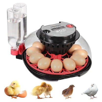 Series II - 12 Egg Automatic Incubator for Beginners, Smart Adaptive Humidity (Dual-Bottle) & Auto Temp Control, Auto Egg Turn, Real-Time Display, Candler, 360° View for Hatching Poultry Eggs - size: 12-Egg Black+Red