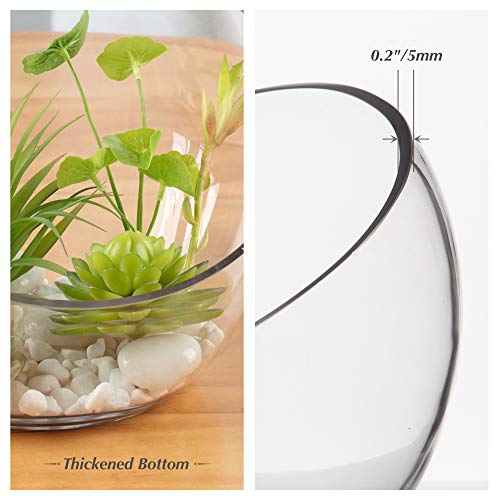 WGVI Clear Slant Cut Bowl Glass Vase, Glass Terrarium, Candy Dish, Glassware, Slant Cut, 7" Width, 6" Height (1 Piece) - size: Slant Bowl 6"H