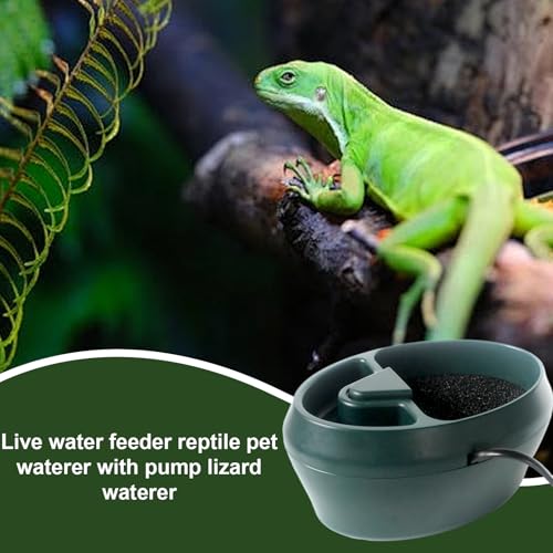 Reptile Lizard Water Dish - Turtle Feeder Bowl, Snake Drinking Dish, Automatic Frog Water Fountain with Pump | 2 in 1 Feeding Tank for Chameleon, Turtle, Lizard, Snake, Amphibians Habitat Care