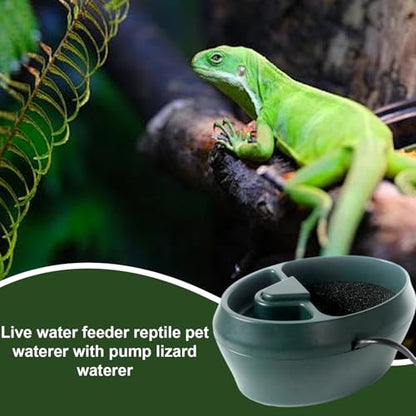 Reptile Lizard Water Dish - Turtle Feeder Bowl, Snake Drinking Dish, Automatic Frog Water Fountain with Pump | 2 in 1 Feeding Tank for Chameleon, Turtle, Lizard, Snake, Amphibians Habitat Care