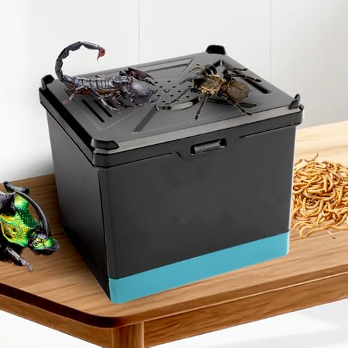 Spider Cage Manti Feeding Box Reptile Mealworms Breeding Box to Breed Live Worms for Spider Manti Insects (Black)