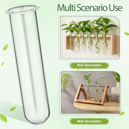 5PCS Glass Tubes for Plants, Propagation Tubes for Plants | Glass Test Pipe Vase for Scientific Experiments, Desktop Party Home Office Decor, Flowers Desktop, Indoor Hydroponic Station