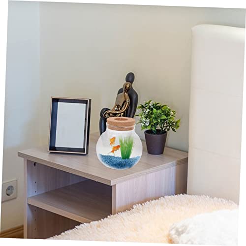 Abaodam Glass Terrarium for Plants Home Decoration Bottle Lid for Landscape Office Decor and Fish Keeping Container - size: 12X10X10CM