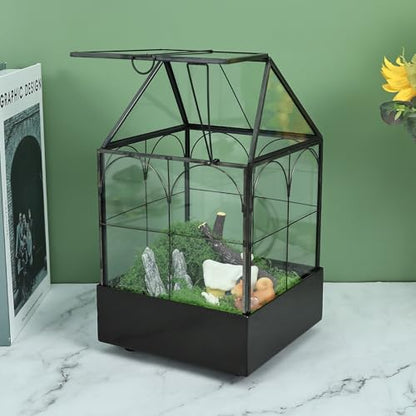 Glass Terrarium with Metal Tray, Glass Greenhouse Terrarium Kit | for Succulents, Cacti, Snails, Spiders, and Miniature Reptiles, Black (Small-5.9" L x 5.9" W x 10.2" H) - size: Small-5.9"L x 5.9"W x 10.2"H