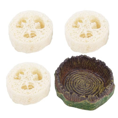 NQEUEPN Cockroach Water Basin & 3 Loofah, Reptile Container Supplies | Cockroach Water Basin with Luffa Set Durable Reptile Live Habitat Supplies for Crickets Springtails Isopods