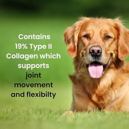 Brilliant Bone & Joint Supplement for Dogs - High Strength Calcium & Collagen Powder for Joint & Hip Support, Essential Supplement for Dog’s of All Ages - 10.6 Oz