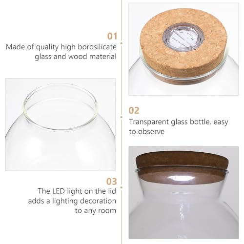 Glass Terrarium Jar with Led Light, Closed Terrarium Jar with Lid for Moss, Succulents and Betta Fish Tank, Large Clear Round Desk Plant Container Ecosystem for Home & Office Decor (no Plants) - size: 14.00X13.00X13.00CM