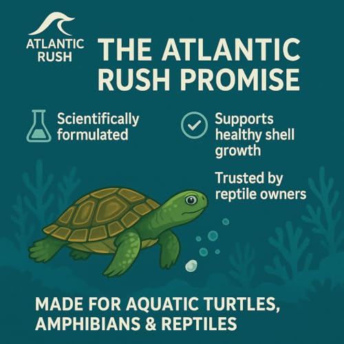 Shellstrong Premium Calcium Block for Aquatic Turtle - Slow Release Water Tank Conditioner - Cuttlebone for Aquarium - Turtle Tank Accessories - 20 Gallon Aquatic Treatment (1 Calcium Block) - size: 1 Calcium Block