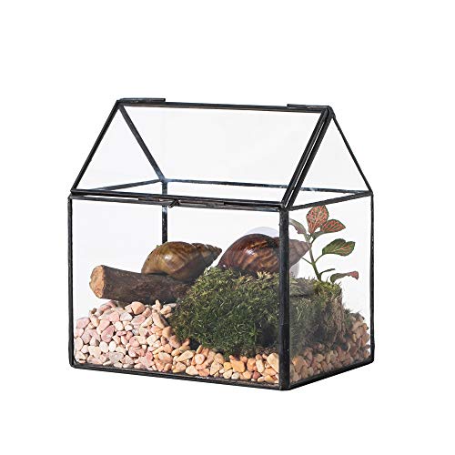 NCYP Small Glass Terrarium with lid for Air Plants Succulent - 5.9x4.4x6.4 Inches Handmade Geometric House Shape Close Glass Box for Snail, Black Tabletop Container (Glass Box Only)