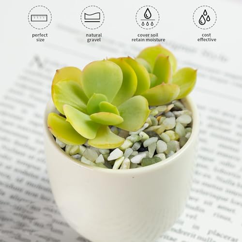 FANTIAN 10 lbs Pebbles for Landscaping,1/4 Inch Polished Green Pea Gravel Small Rocks for Plants, Succulents, Cactus, Vases, Terrarium and Outdoor Gardening - size: 10 pounds, style: Jade