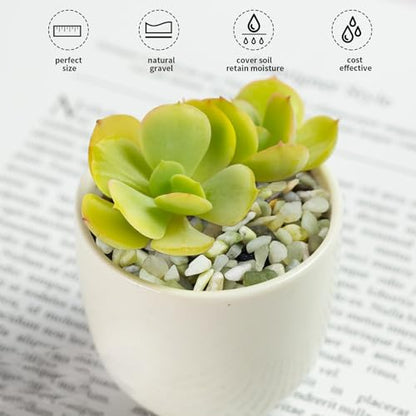 FANTIAN 10 lbs Pebbles for Landscaping,1/4 Inch Polished Green Pea Gravel Small Rocks for Plants, Succulents, Cactus, Vases, Terrarium and Outdoor Gardening - size: 10 pounds, style: Jade