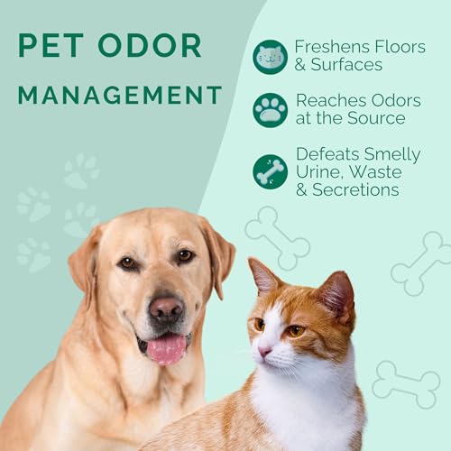 No Scent Crate Kennel & Floor Cleaner for Dog Run, Cat Carrier, Hard Surface Pet Odor & Stain Management (2 Fl Oz / 59 mL) - size: 2 Fl Oz (Pack of 1)