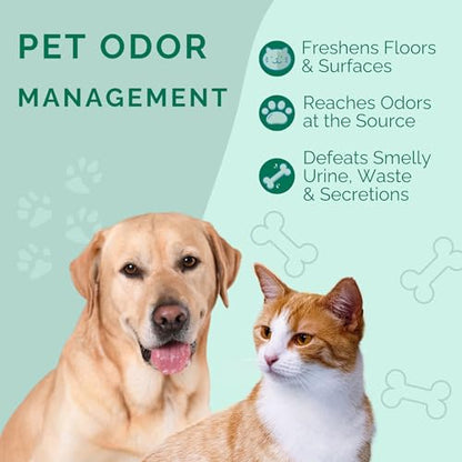 No Scent Crate Kennel & Floor Cleaner for Dog Run, Cat Carrier, Hard Surface Pet Odor & Stain Management (2 Fl Oz / 59 mL) - size: 2 Fl Oz (Pack of 1)
