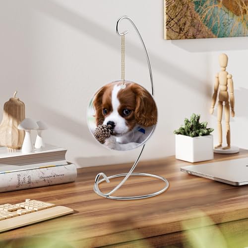 Abom 1 Pack 8in Single Ornament Display Stand, Air Plant Holder, Terrariums Hanger, Silver Iron Hanging Hook for Christmas Halloween Decoration, Glass Crystal Witch Ball, Home Wedding, Party Decor (1pcs)