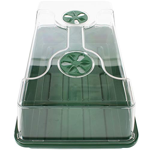 70738 Medium Domed Propagator, 15" x 9" x 7", Black/Dark Green - size: Medium without Extenders