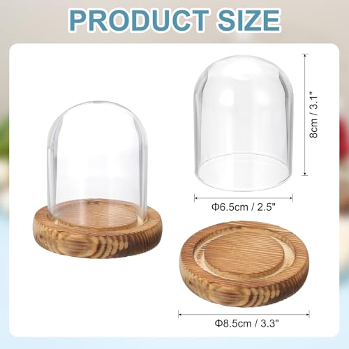 uxcell Glass Cloche Display Dome, 3.1" x 2.5" Glass Dome Display Case, Wood - size: 3.1" x 2.5"