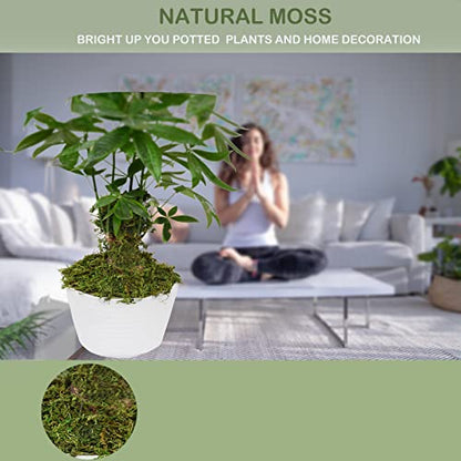19 OZ Fake Moss for Potted Plants, Artificial Moss for Crafts, Faux Green Moss for Decorative Fake Plants