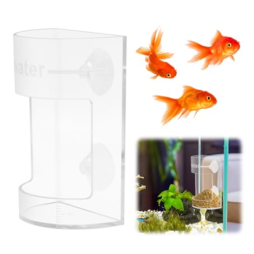 Round Fish Tank Feed Tray with Scale and Suction Cup, Feeding Tube Supplies, Tank Divider Supplies, Breeder Box for Aquarium, Round Aquariums & Fish Bowls Accessories - color: 3.Transparent