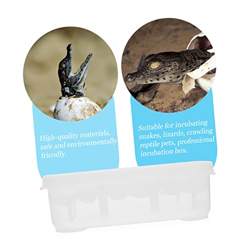 HANABASS Compartments Reptile Egg Incubation Tray Professional Hatching Box for Snakes Lizards and Other Reptiles with Thermometer Easy to Clean and Reusable