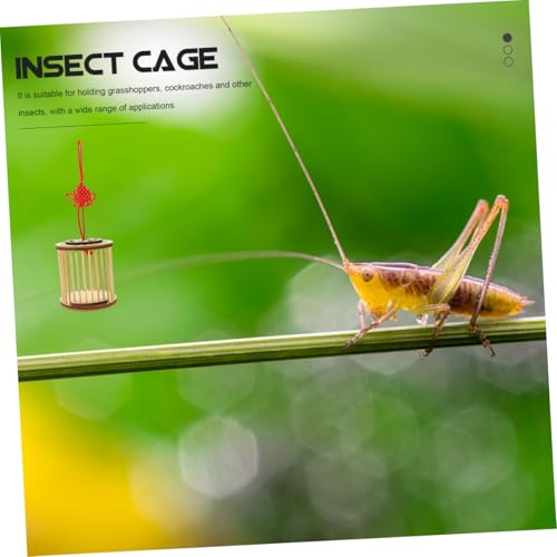 Songbird Cage Insect House Insect Cage Insect Container Insect Storage Cage Cricket Container Cricket Bamboo Cage Outdoor Grasshoppers Cage Cricket Keeper Cricket Holder