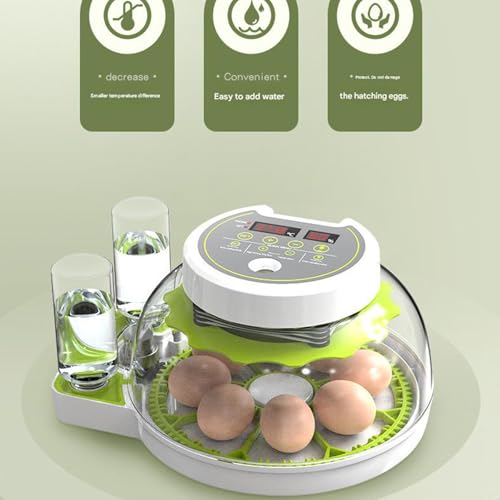 JUJOJB 12-Egg Incubator for Hatching Eggs, Auto Turner, Temp Control | Humidity and temperature control, egg candler, 360-degree window. For chicken, duck, quail, turkey eggs. Adjustable dividers. - color: Green