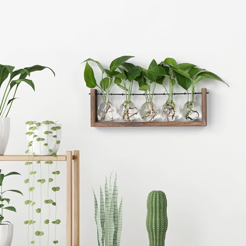 YIBOT Wall Hanging Glass Planter Plant Propagation Vase-5 Bulb Glass Vases | Plant Terrarium with Wooden Stand,Indoor Home Office Living Room Decor Gifts - size: 5Bulb-M