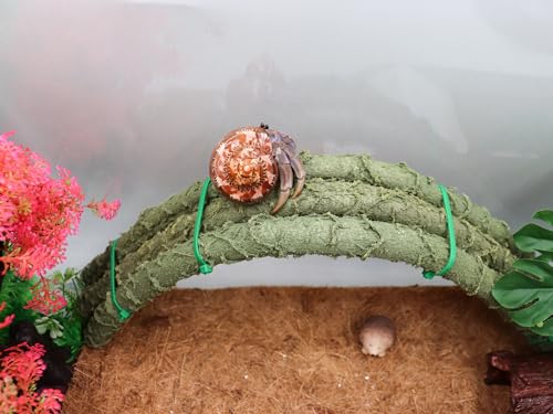 Oooct Turtle Climbing Toys, Plastic Simulation Reptile Climbing Ramp, Reptile Tank Terrarium Accessories, Jungle Climber Long Vines Habitat Decor for Lizards Geckos Snakes