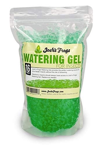 Josh's Frogs Cricket Colony Bundle- Vermiculite Substrate, Food, Ready to Use Water Gel, and Egg Flats (Enough for a 10 Gallon Tank)